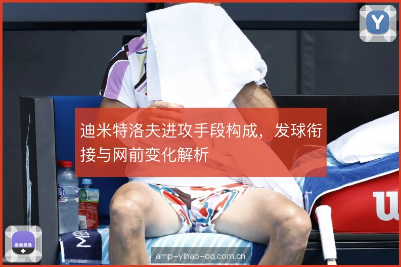 迪米特洛夫进攻手段构成，发球衔接与网前变化解析