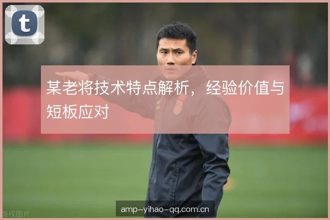 某老将技术特点解析，经验价值与短板应对